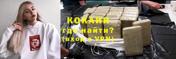 ешки Алексин