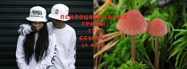 ECSTASY Алексеевка