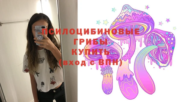ECSTASY Алексеевка